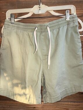 PacSun Sage Green Drawstring Waist Shorts